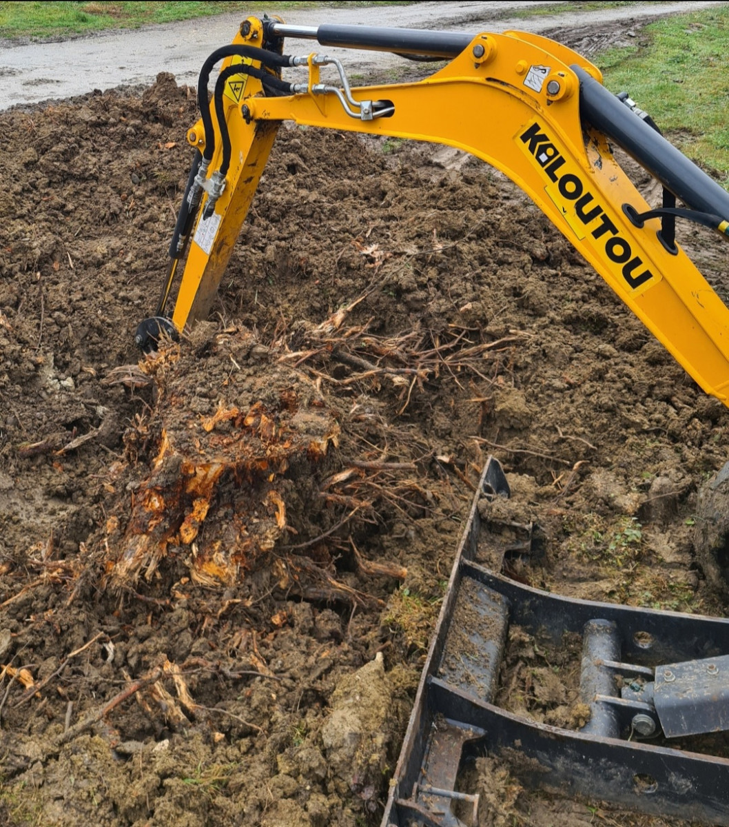 Entretien De Jardin Et Élagage D'arbres L'Union - Flori'vert