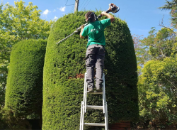 Entretien de jardin à Castelginest