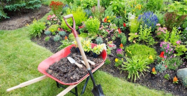 Plantations, traitements à Pechbonnieu